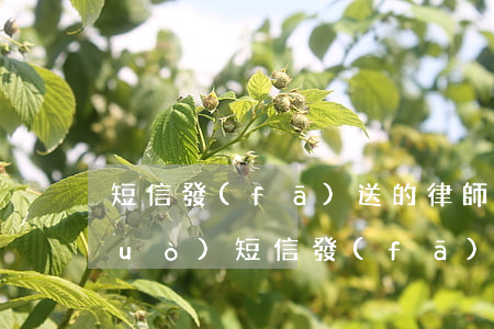 短信發(fā)送的律師函有效嗎(通過(guò)短信發(fā)的律師函是真的還是假的)