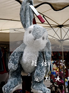 短信說(shuō)信用卡嚴(yán)重逾期是真的嗎(發(fā)短信來(lái)說(shuō)信用卡詐騙可信嗎)