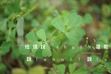 短信說(shuō)貸款逾期（貸款逾期警告說(shuō)說(shuō)）