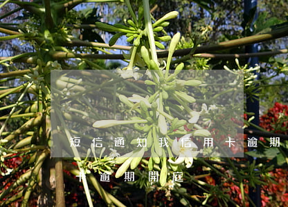 短信通知我信用卡逾期開庭(短信通知我信用卡逾期開庭)