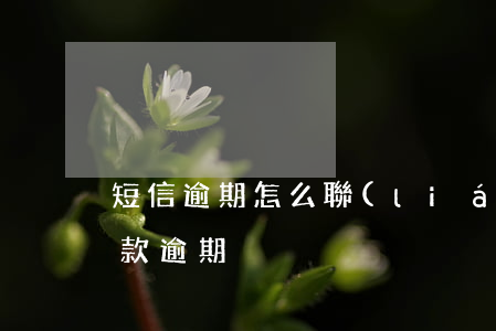 短信逾期怎么聯(lián)系銀行 短信貸款逾期
