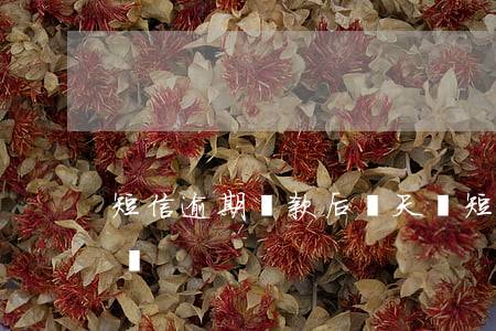 短信逾期還款后幾天還(短信逾期還款后幾天還)