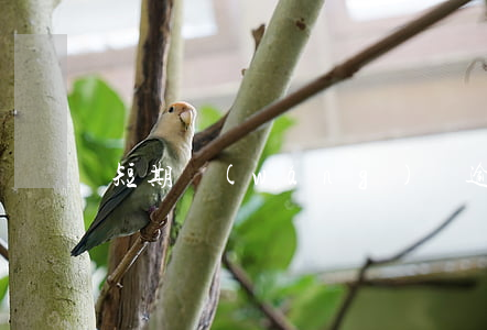 短期網(wǎng)貸逾期多久上征信