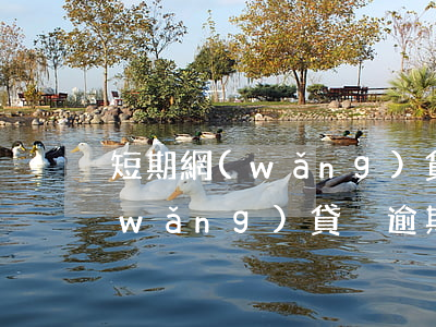 短期網(wǎng)貸逾期會上征信嗎(網(wǎng)貸沒逾期會上征信嗎)