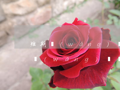 短期網(wǎng)貸還不起怎么辦-短期網(wǎng)貸還不起怎么辦