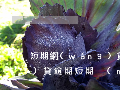 短期網(wǎng)貸還不起 網(wǎng)貸逾期短期內(nèi)無法償還