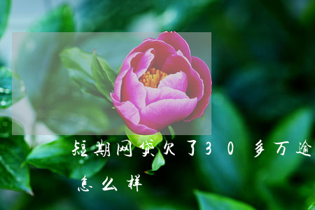 短期网贷欠了30多万逾期(短期网贷逾期会怎么样)