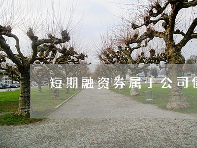 短期融资券属于公司债券吗
