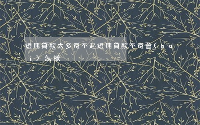 短期貸款太多還不起(短期貸款不還會(huì)怎樣)