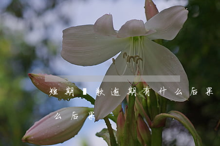 短期貸款逾期有什么后果(短期貸款逾期有什么后果)