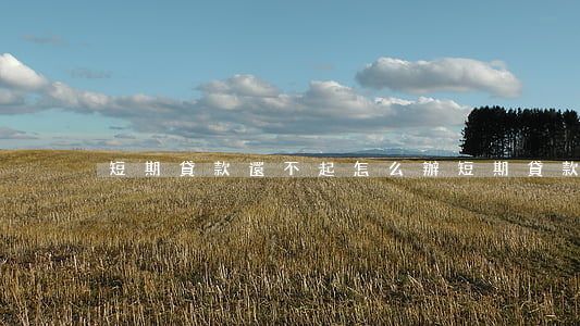短期貸款還不起怎么辦(短期貸款如何還款)