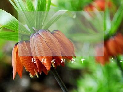 短期逾期能申請網(wǎng)貸嗎