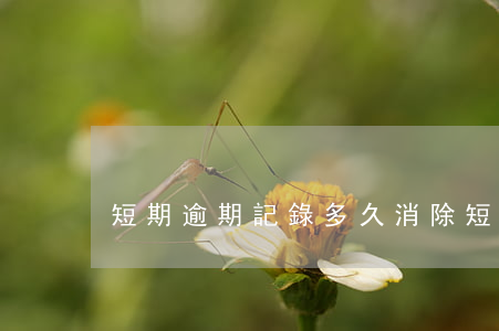 短期逾期記錄多久消除（短賬齡逾期提醒客服）