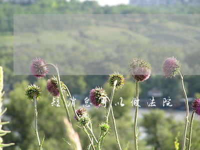 短消息可以做法院證據嗎(短信能作為法庭證據嗎)