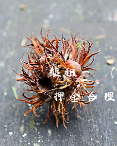 短租一個(gè)月(短租一個(gè)月交押金合理嗎)