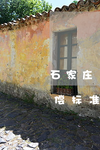石家庄10级伤残赔偿(石家庄10级伤残赔偿标准)