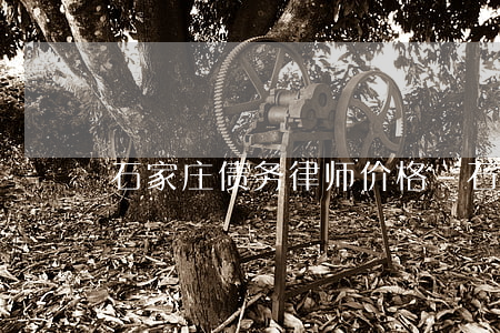 石家庄债务律师价格-石家庄律师收费