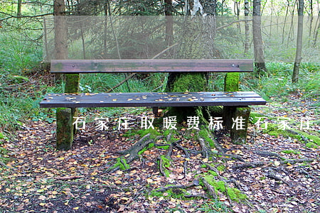 石家庄取暖费标准(石家庄取暖费计算公式)