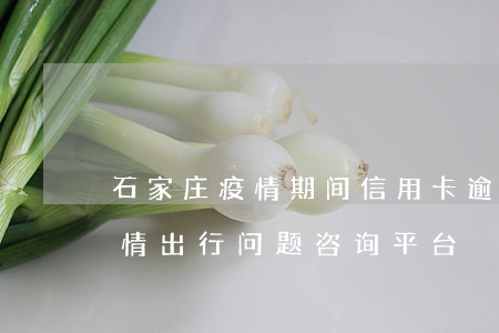 石家庄疫情期间信用卡逾期怎么办(石家庄疫情出行问题咨询平台)