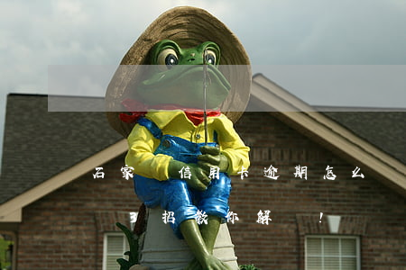 石家莊信用卡逾期怎么辦(信用卡逾期怎么辦?這3招教你解決!)