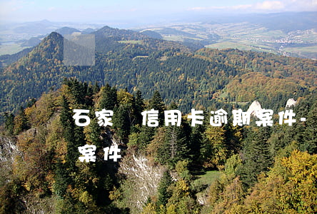 石家莊信用卡逾期案件-石家莊信用卡逾期案件