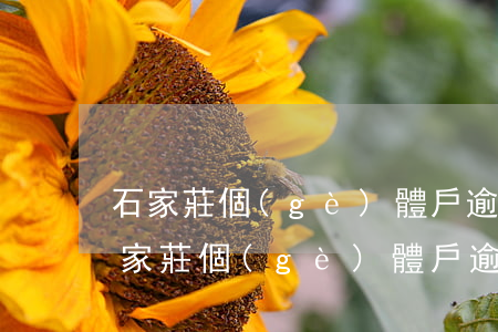 石家莊個(gè)體戶逾期年檢怎么處理（石家莊個(gè)體戶逾期年檢）