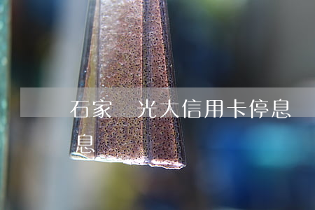 石家莊光大信用卡停息掛賬(光大銀行辦理停息掛賬)