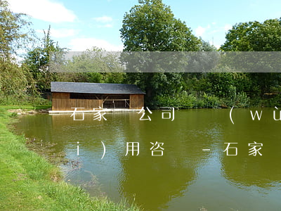 石家莊公司債務(wù)和解律師費(fèi)用咨詢-石家莊公司債務(wù)和解律師費(fèi)用咨詢多少