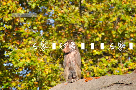 石家莊取暖費標準(石家莊取暖費計算公式)