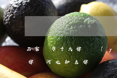 石家莊市十大律師優(yōu)秀律師申訴律師(河北知名律師)