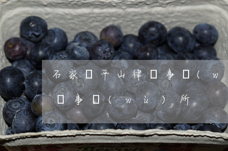 石家莊平山律師事務(wù)所(河北維平律師事務(wù)所)