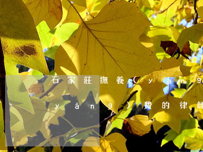 石家莊撫養(yǎng)費訴訟律師(撫養(yǎng)費的律師費)