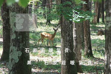 石家莊暖氣費(fèi)不交逾期有什么后果-石家莊暖氣費(fèi)不交逾期有什么后果嗎