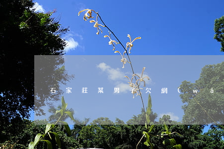 石家莊某男子欠網(wǎng)貸不還