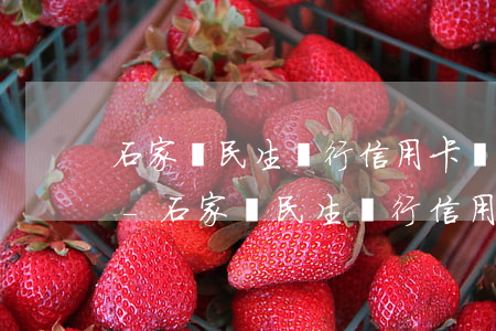 石家莊民生銀行信用卡個(gè)性化分期-石家莊民生銀行信用卡個(gè)性化分期政策