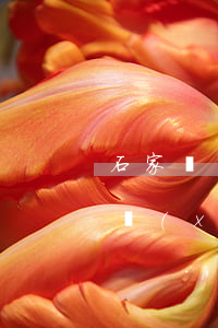 石家莊網(wǎng)貸逾期停息分期怎么協(xié)商-石家莊網(wǎng)貸公司怎么樣啊