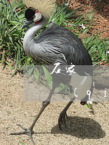 石家莊請(qǐng)個(gè)律師多少錢(qián)(河北請(qǐng)律師費(fèi)用多少錢(qián))