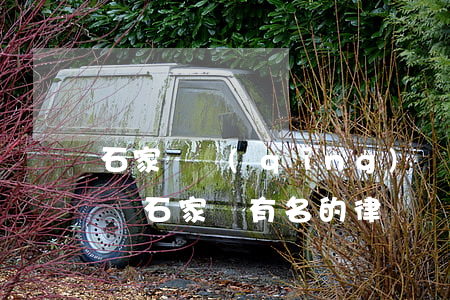 石家莊請(qǐng)個(gè)律師多少錢(石家莊有名的律師)
