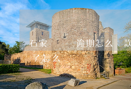 石家莊車貸逾期怎么貸款(車子抵押貸款逾期了怎么辦)