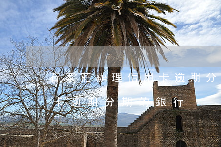 石家莊辦理信用卡逾期分期 石家莊辦理信用卡逾期分期的銀行