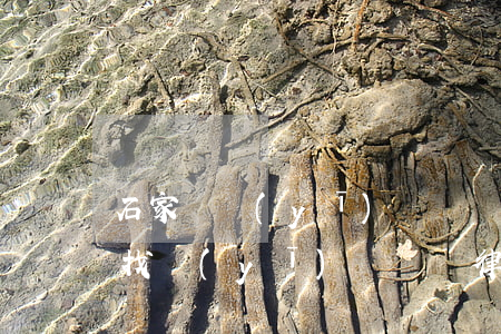石家莊醫(yī)療糾紛專業(yè)律師(找醫(yī)療糾紛律師)