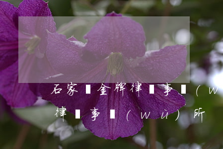 石家莊金牌律師事務(wù)所(石家莊金龍律師事務(wù)所)