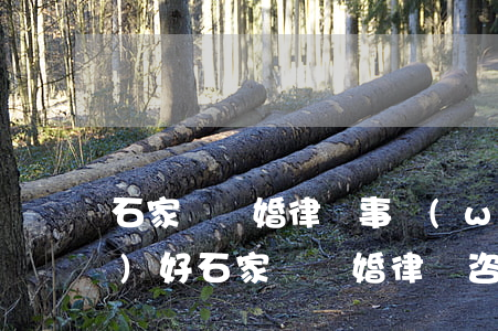 石家莊離婚律師事務(wù)所哪個(gè)好(石家莊離婚律師咨詢)
