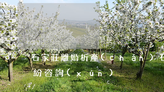 石家莊離婚析產(chǎn)(石家莊離婚糾紛咨詢(xún))