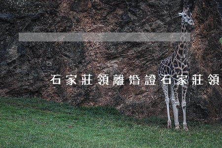 石家莊領離婚證(石家莊領離婚證)
