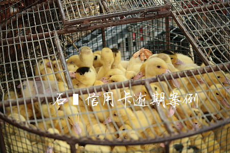 石島信用卡逾期案例