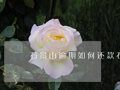 石景山逾期如何还款(石景山逾期如何还款)