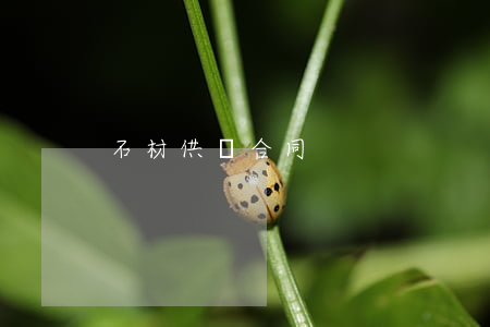 石材供貨合同