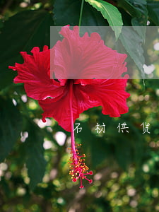 石材供货合同(石材供货合同模板)