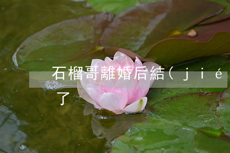 石榴哥離婚后結(jié)婚(石榴哥又離婚了)